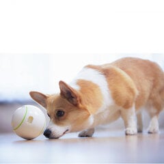 Doggy Village žaislinis interaktyvus kamuolys skanėstams Dog Treat kaina ir informacija | Žaislai šunims | pigu.lt