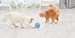 Интерактивный мяч Doggy Village для собак и кошек Orb Shell цена и информация | Игрушки для собак | pigu.lt