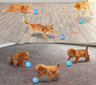 Doggy Village interaktyvus kamuolys šunims ir katėms Interactive Orb цена и информация | Žaislai šunims | pigu.lt