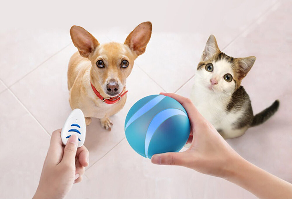 Doggy Village interaktyvus kamuolys šunims ir katėms Interactive Orb цена и информация | Žaislai šunims | pigu.lt