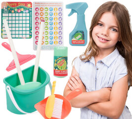 Набор для чистки с календарем цена и информация | Игрушки для девочек | pigu.lt