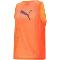 Marškinėliai vyrams Puma Bib Fluo M 657251, oranžiniai цена и информация | Мужская спортивная одежда | pigu.lt