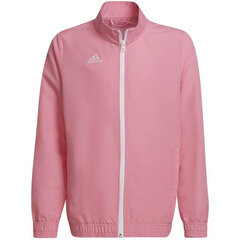 Джемпер для девочки Adidas Entrada 22 цена и информация | Свитеры, жилетки, пиджаки для девочек | pigu.lt