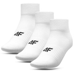 Kojinės vyrams 4F kaina ir informacija | Vyriškos kojinės | pigu.lt