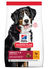 Hill's Science Plan Adult Large Breed ėdalas šunims su vištiena,18 kg kaina ir informacija | Sausas maistas šunims | pigu.lt