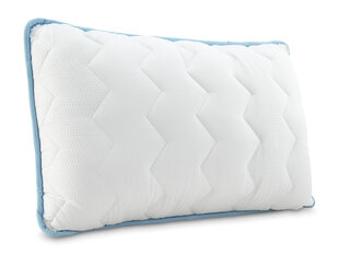 Dormeo pagalvės gera kaina internetu | pigu.lt