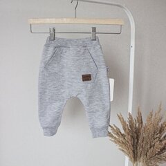 Штанишки повседневные для младенцев цена и информация | Спортивные штаны для мальчиков | pigu.lt
