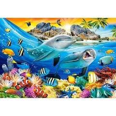 Dėlionė Castorland Puzzle Dolphins in the tropics, 1000 d. kaina ir informacija | Dėlionės (puzzle) | pigu.lt