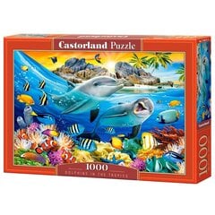 Dėlionė Castorland Puzzle Dolphins in the tropics, 1000 d. kaina ir informacija | Dėlionės (puzzle) | pigu.lt