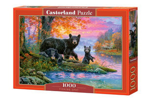 Dėlionė Castorland Fishing Spot 1000 det. kaina ir informacija | Dėlionės (puzzle) | pigu.lt