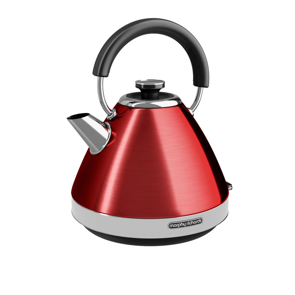 Morphy Richards 3000 W kaina ir informacija | Virduliai | pigu.lt