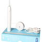 Oral-B Pulsonic Slim Clean 2900 kaina ir informacija | Elektriniai dantų šepetėliai | pigu.lt