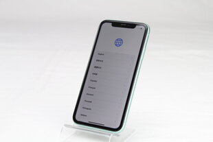 Мобильный телефон iPhone 11 64ГБ Green (подержанный, состояние A) цена и информация | Мобильные телефоны | pigu.lt