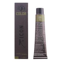 Ilgalaikiai dažai I.c.o.n. 6.2 Dark Beige Blonde, 60 ml kaina ir informacija | ICON Plaukų priežiūrai | pigu.lt