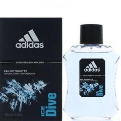 Tualetinis vanduo Adidas Ice Dive EDT vyrams 100 ml kaina ir informacija | Kvepalai vyrams | pigu.lt