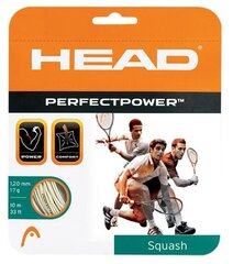 Head PerfectPower 17 kaina ir informacija | Lauko teniso prekės | pigu.lt