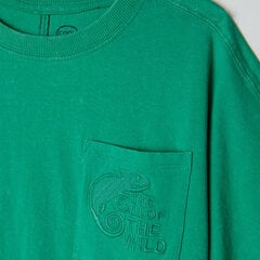 Cool Club футболка для мальчиков, CCB2422378 цена и информация | Рубашки для мальчиков | pigu.lt
