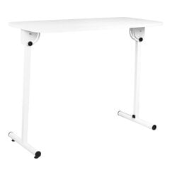 Складной маникюрный стол MOBILE DESK FOLDING цена и информация | Мебель для салонов красоты | pigu.lt
