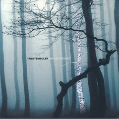 Виниловая пластинка Trentemøller - The Last Resort, 3LP, 12" vinyl record цена и информация | Виниловые пластинки, CD, DVD | pigu.lt