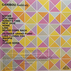 Виниловая пластинка Caribou - Suddenly, LP, 12" vinyl record цена и информация | Виниловые пластинки, CD, DVD | pigu.lt