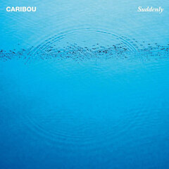 Виниловая пластинка Caribou - Suddenly, LP, 12" vinyl record цена и информация | Виниловые пластинки, CD, DVD | pigu.lt