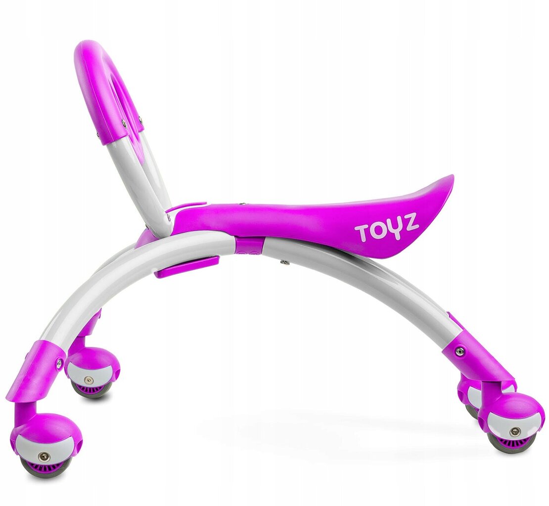 Paspiriama mašinėlė Toyz Beetle Purple цена и информация | Žaislai kūdikiams | pigu.lt