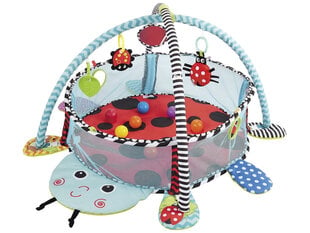 Žaidimų kilimėlis Konig Kids baseinas su kamuoliukais цена и информация | Игрушки для малышей | pigu.lt