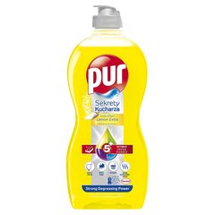 Pur power 450ml indų ploviklis lemon kaina ir informacija | Indų plovimo priemonės | pigu.lt