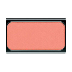 Румяна пудровые Artdeco Blusher 07, 5 г цена и информация | Бронзеры (бронзаторы), румяна | pigu.lt