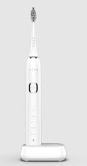 Aeno DB5 цена и информация | Электрические зубные щетки | pigu.lt
