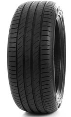 Delinte DS2 215/60R17 100 H XL цена и информация | Летняя резина | pigu.lt