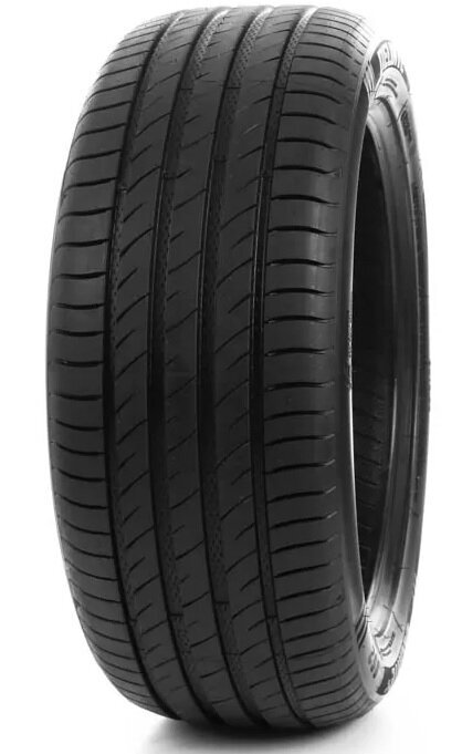 Delinte DS2 225/45R18 95 W XL kaina ir informacija | Vasarinės padangos | pigu.lt