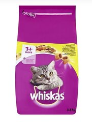 Wiskas с курицей, 3,8 кг цена и информация | Сухой корм для кошек | pigu.lt