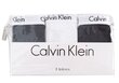 Kelnaitės moterims Calvin Klein, 3 poros, juodos/baltos kaina ir informacija | Kelnaitės | pigu.lt