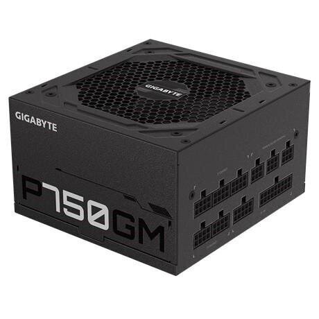 Gigabyte P750GM цена и информация | Maitinimo šaltiniai (PSU) | pigu.lt