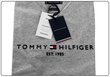 Vyriški marškinėliai TOMMY HILFIGER CORE TOMMY LOGO TEE, pilki MW0MW11465 501 цена и информация | Vyriški marškinėliai | pigu.lt