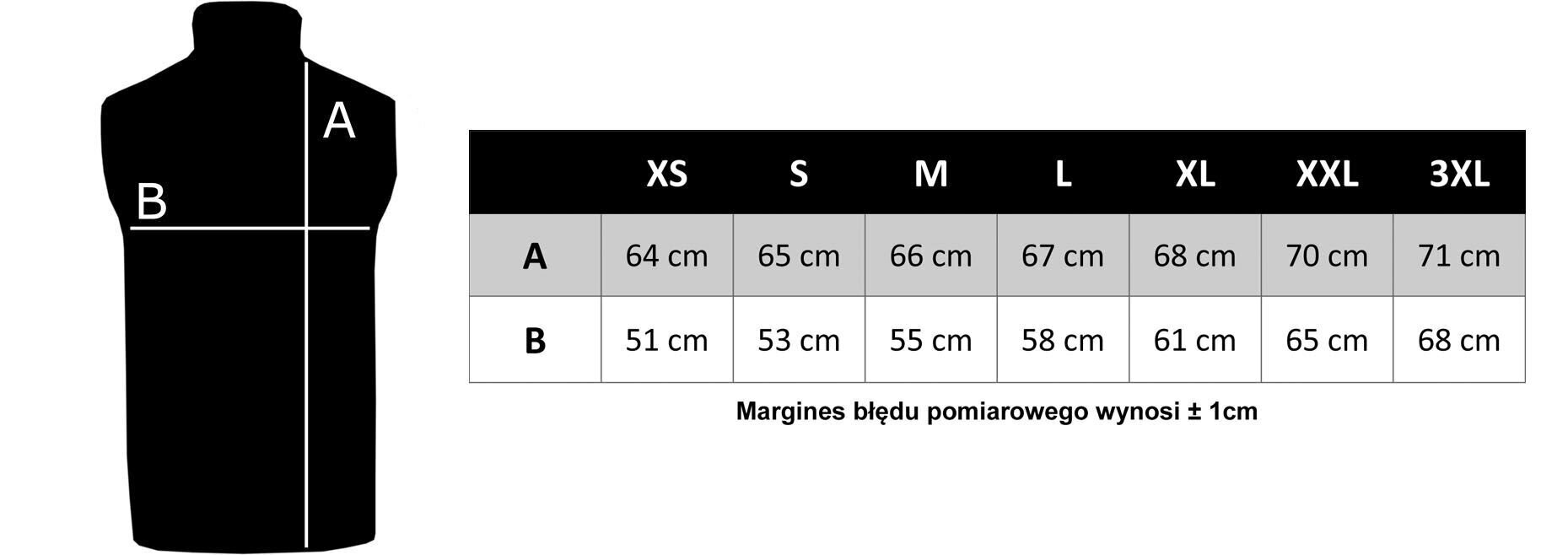 Vyriška liemenė TOMMY HILFIGER CORE PACKABLE DOWN VEST, mėlyna MW0MW12719 kaina ir informacija | Vyriškos liemenės | pigu.lt