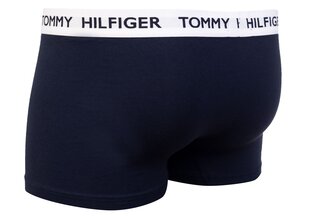 Trumpikės vyrams Tommy Hilfiger 1 vnt. kaina ir informacija | Trumpikės | pigu.lt