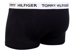 Trumpikės moterims Tommy Hilfiger, 1 vnt. kaina ir informacija | Trumpikės | pigu.lt