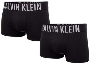 Trumpikės vyriškos Calvin Klein, 2 poros, juodos 000NB2602A UB1 kaina ir informacija | Trumpikės | pigu.lt