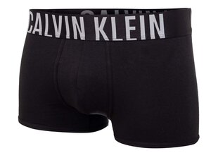 Мужские трусы Calvin Klein, 2 пары, черные 000NB2602A UB1 цена и информация | Трусы | pigu.lt