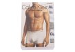 Vyriški bokseriai Calvin Klein LOW RISE TRUNK, 3 vnt. PILKOS U2664G KS0 25871 S kaina ir informacija | Trumpikės | pigu.lt