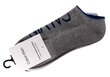 Vyriškos kojinės-pėdutės Calvin Klein, 3 poros 100003017 003 27347 цена и информация | Vyriškos kojinės | pigu.lt