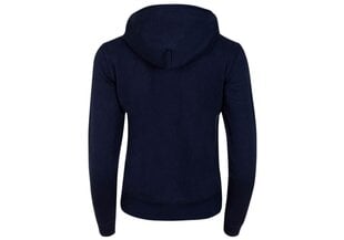 Женская толстовка Tommy Hilfiger TJW REGULAR FLEECE HOODIE NAVY DW0DW09228 C87 26935 цена и информация | Свитера женские | pigu.lt