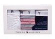 Moteriški „Tommy Hilfiger“ 3 porų stringai THONG PRINT UW0UW02521 0W2 26637 XS kaina ir informacija | Kelnaitės | pigu.lt