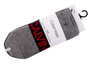 Носки Calvin Klein SOCKS, 2 пары, 100001857 004 27860 цена и информация | Мужские носки | pigu.lt