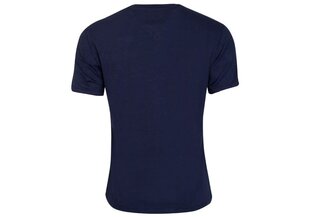 Футболка мужская Tommy Hilfiger T-SHIRT TJW TOMMY CLASSICS TEE NAVY DW0DW07036 C87 29094 цена и информация | Женские футболки | pigu.lt