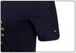 Moteriški marškinėliai Tommy Hilfiger marškinėliai REGULAR CIRCLE C-NK TEE SS NAVY WW0W30103 DW5 29126 kaina ir informacija | Marškinėliai moterims | pigu.lt