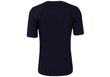 Moteriški marškinėliai Tommy Hilfiger marškinėliai REGULAR CIRCLE C-NK TEE SS NAVY WW0W30103 DW5 29126 kaina ir informacija | Marškinėliai moterims | pigu.lt