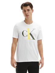 Футболка мужская Calvin Klein S/S CREW NECK WHITE 000NM1903E KLR 29733 цена и информация | Мужские футболки | pigu.lt